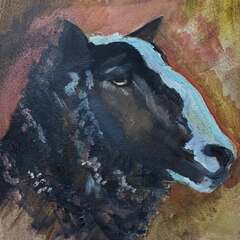 Photo by evondelaroche