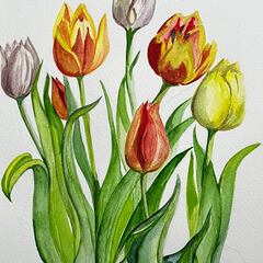 Photo by alison_craddock